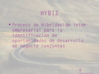 ©
HYBIZ
• Proceso de hibridación inter-
empresarial para la
identificación de
oportunidades de desarrollo
de negocio conjuntas
 