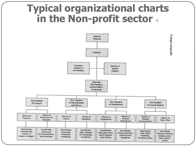 Typical Non Profit Organizational Chart