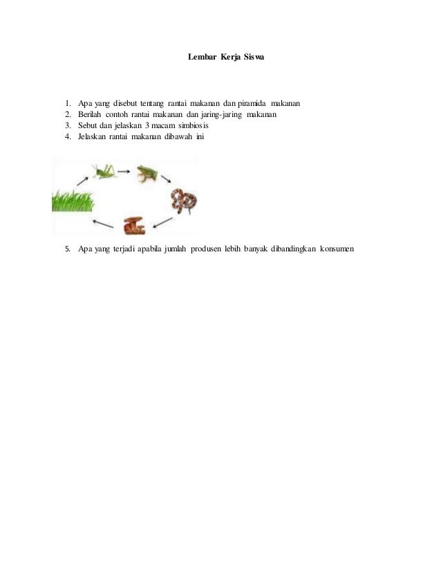 Ekosistem dan Keanekaragaman makhluk hidup Ktsp 3 (rantai mak)