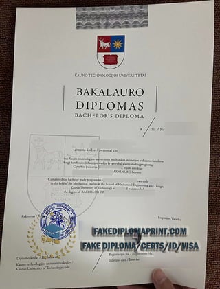 KTU bachelor diploma.pdf
