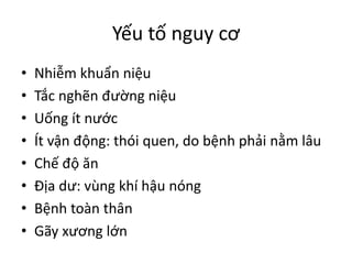 Yếu tố nguy cơ
• Nhiễm khuẩn niệu
• Tắc nghẽn đường niệu
• Uống ít nước
• Ít vận động: thói quen, do bệnh phải nằm lâu
• Chế độ ăn
• Địa dư: vùng khí hậu nóng
• Bệnh toàn thân
• Gãy xương lớn
 
