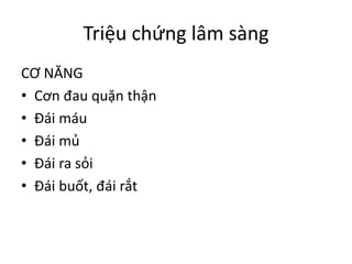 Triệu chứng lâm sàng
CƠ NĂNG
• Cơn đau quặn thận
• Đái máu
• Đái mủ
• Đái ra sỏi
• Đái buốt, đái rắt
 