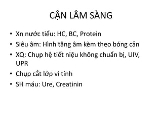 CẬN LÂM SÀNG
• Xn nước tiểu: HC, BC, Protein
• Siêu âm: Hình tăng âm kèm theo bóng cản
• XQ: Chụp hệ tiết niệu không chuẩn bị, UIV,
UPR
• Chụp cắt lớp vi tính
• SH máu: Ure, Creatinin
 