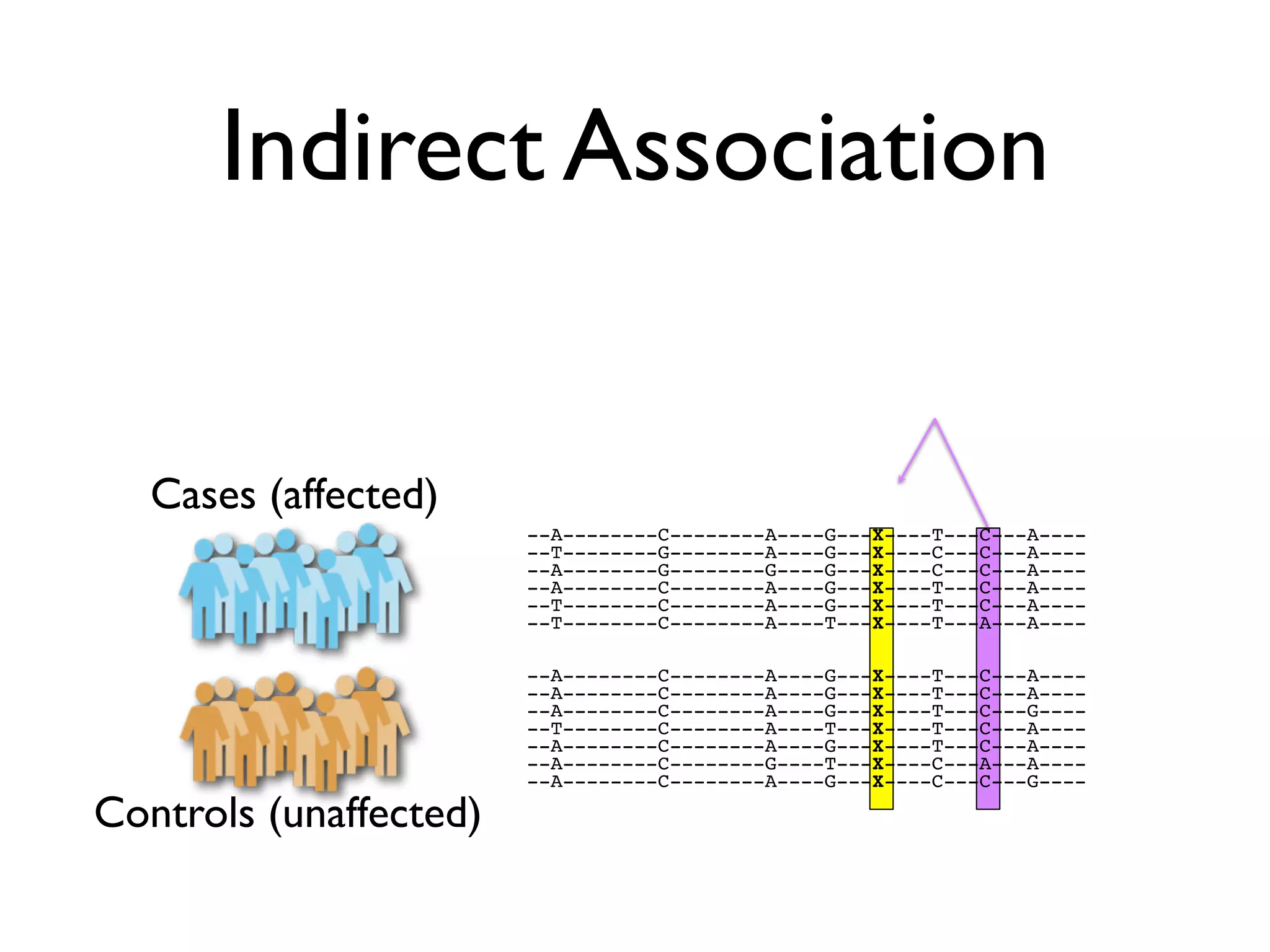 Indirect Association


   Cases (affected)
                        --A--------C--------A----G---X----T---C---A----
                        --T--------G--------A----G---X----C---C---A----
                        --A--------G--------G----G---X----C---C---A----
                        --A--------C--------A----G---X----T---C---A----
                        --T--------C--------A----G---X----T---C---A----
                        --T--------C--------A----T---X----T---A---A----

                        --A--------C--------A----G---X----T---C---A----
                        --A--------C--------A----G---X----T---C---A----
                        --A--------C--------A----G---X----T---C---G----
                        --T--------C--------A----T---X----T---C---A----
                        --A--------C--------A----G---X----T---C---A----
                        --A--------C--------G----T---X----C---A---A----
                        --A--------C--------A----G---X----C---C---G----

Controls (unaffected)
 