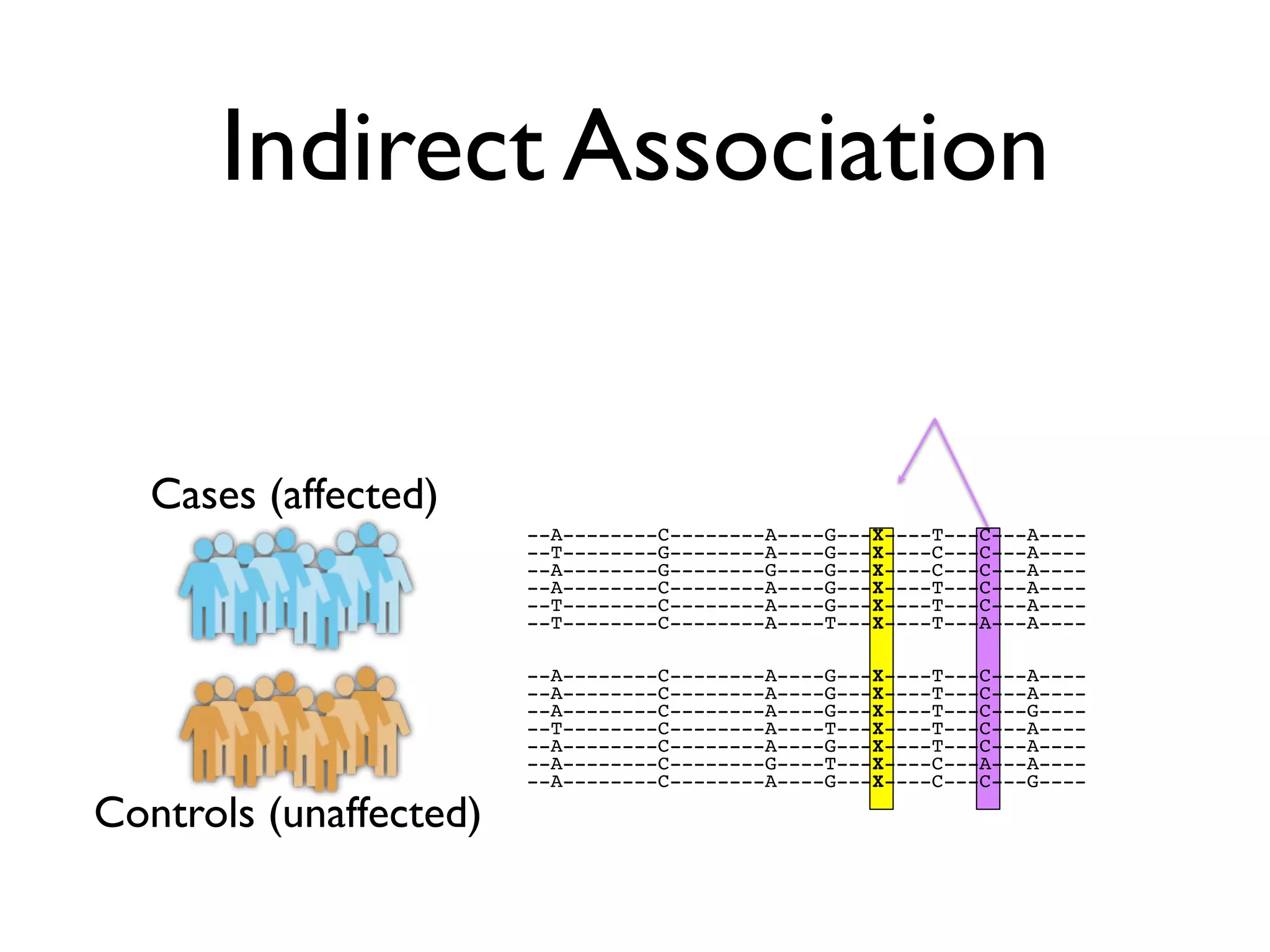 Indirect Association


   Cases (affected)
                        --A--------C--------A----G---X----T---C---A----
                        --T--------G--------A----G---X----C---C---A----
                        --A--------G--------G----G---X----C---C---A----
                        --A--------C--------A----G---X----T---C---A----
                        --T--------C--------A----G---X----T---C---A----
                        --T--------C--------A----T---X----T---A---A----

                        --A--------C--------A----G---X----T---C---A----
                        --A--------C--------A----G---X----T---C---A----
                        --A--------C--------A----G---X----T---C---G----
                        --T--------C--------A----T---X----T---C---A----
                        --A--------C--------A----G---X----T---C---A----
                        --A--------C--------G----T---X----C---A---A----
                        --A--------C--------A----G---X----C---C---G----

Controls (unaffected)
 