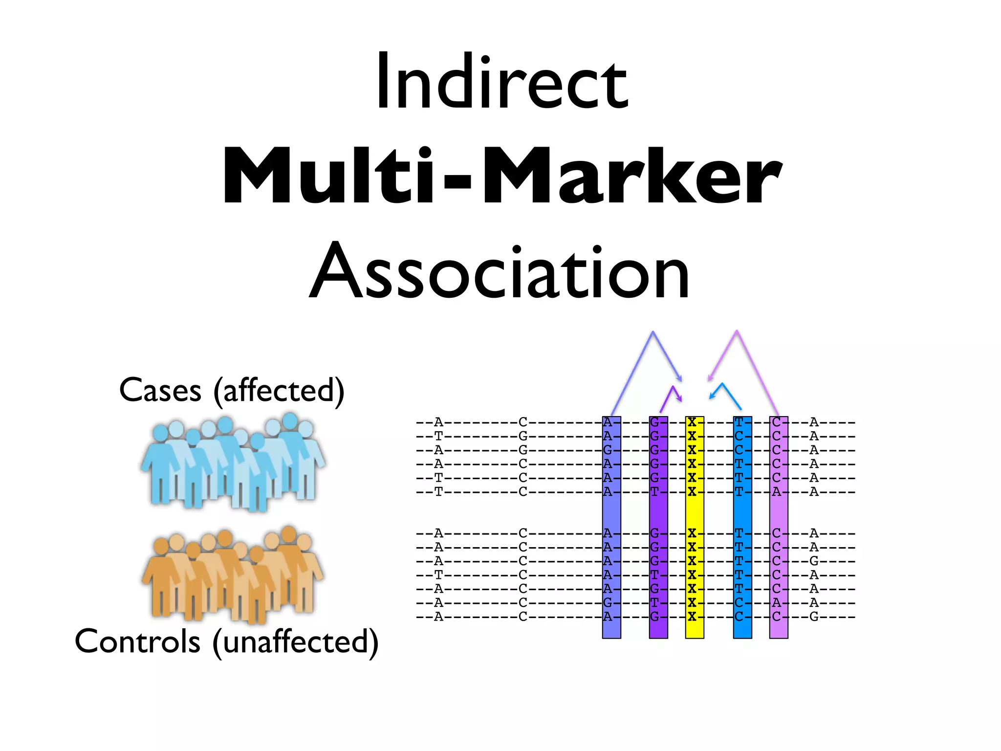 Indirect
          Multi-Marker
           Association
   Cases (affected)
                        --A--------C--------A----G---X----T---C---A----
                        --T--------G--------A----G---X----C---C---A----
                        --A--------G--------G----G---X----C---C---A----
                        --A--------C--------A----G---X----T---C---A----
                        --T--------C--------A----G---X----T---C---A----
                        --T--------C--------A----T---X----T---A---A----

                        --A--------C--------A----G---X----T---C---A----
                        --A--------C--------A----G---X----T---C---A----
                        --A--------C--------A----G---X----T---C---G----
                        --T--------C--------A----T---X----T---C---A----
                        --A--------C--------A----G---X----T---C---A----
                        --A--------C--------G----T---X----C---A---A----
                        --A--------C--------A----G---X----C---C---G----

Controls (unaffected)
 