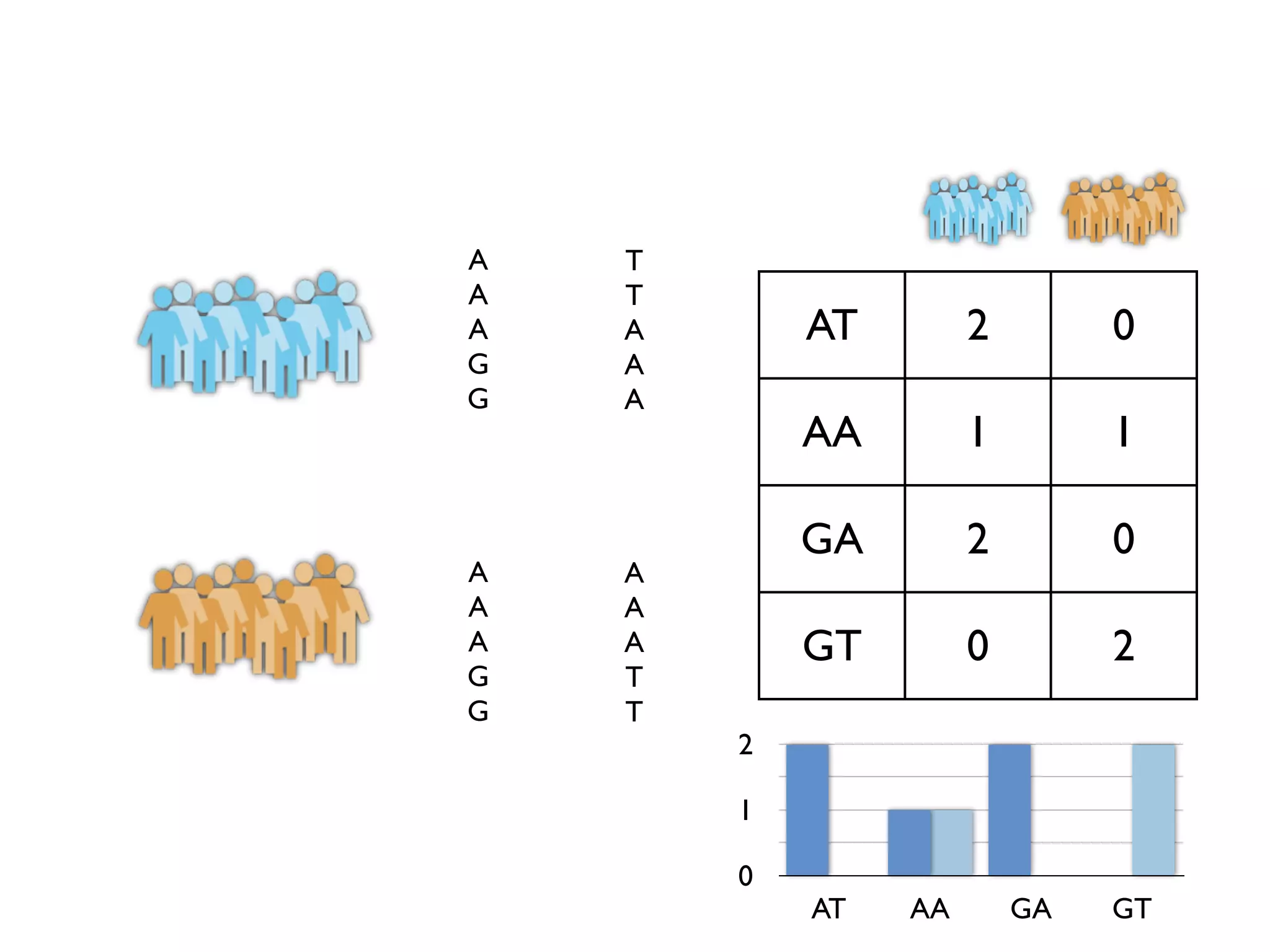 A   T
A   T
A   A       AT        2        0
G   A
G   A
            AA        1        1

            GA        2        0
A   A
A   A
A   A       GT        0        2
G   T
G   T
        2

        1

        0
            AT   AA       GA   GT
 