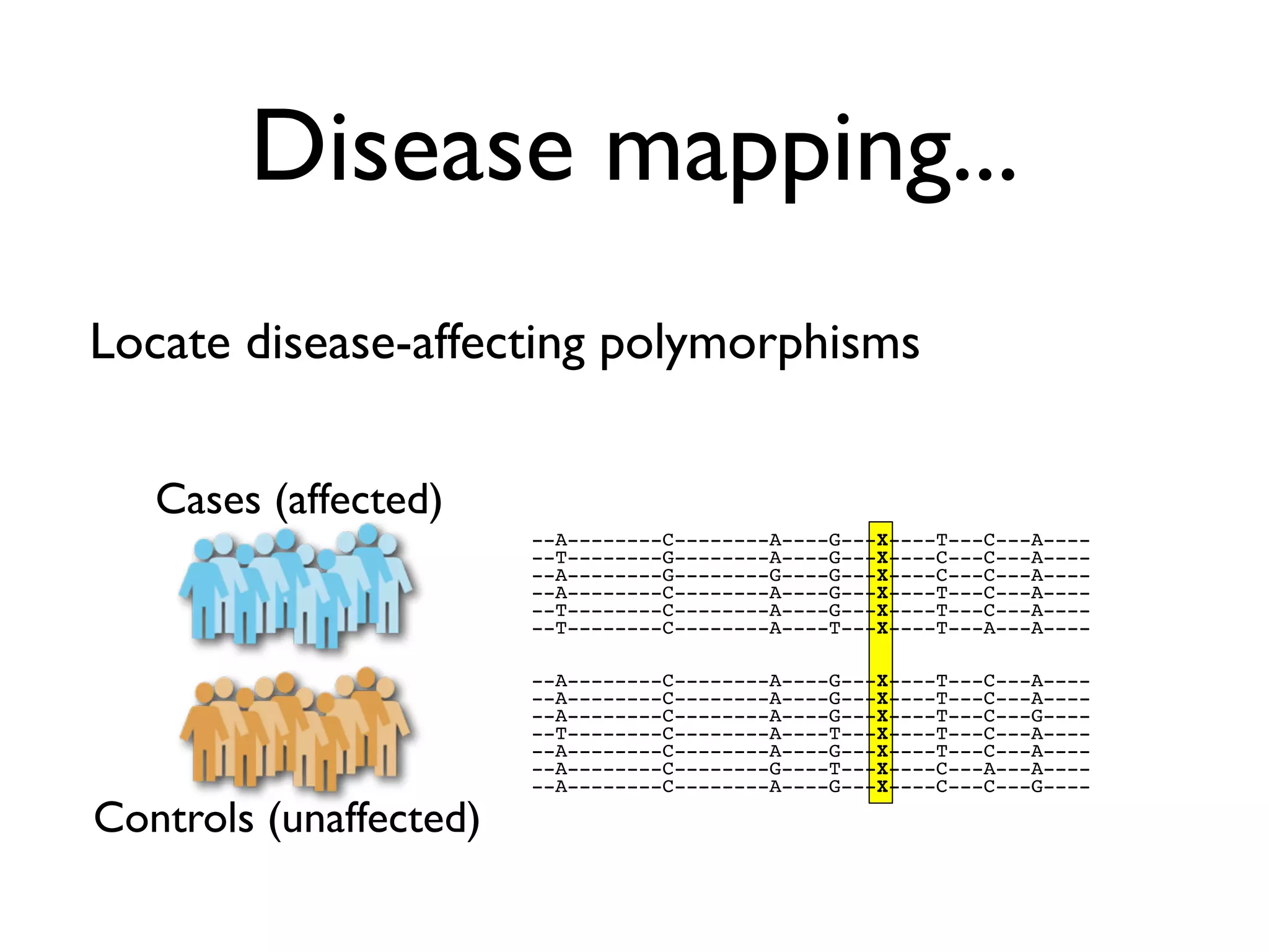Disease mapping...
Locate disease-affecting polymorphisms

   Cases (affected)
                        --A--------C--------A----G---X----T---C---A----
                        --T--------G--------A----G---X----C---C---A----
                        --A--------G--------G----G---X----C---C---A----
                        --A--------C--------A----G---X----T---C---A----
                        --T--------C--------A----G---X----T---C---A----
                        --T--------C--------A----T---X----T---A---A----

                        --A--------C--------A----G---X----T---C---A----
                        --A--------C--------A----G---X----T---C---A----
                        --A--------C--------A----G---X----T---C---G----
                        --T--------C--------A----T---X----T---C---A----
                        --A--------C--------A----G---X----T---C---A----
                        --A--------C--------G----T---X----C---A---A----
                        --A--------C--------A----G---X----C---C---G----

Controls (unaffected)
 