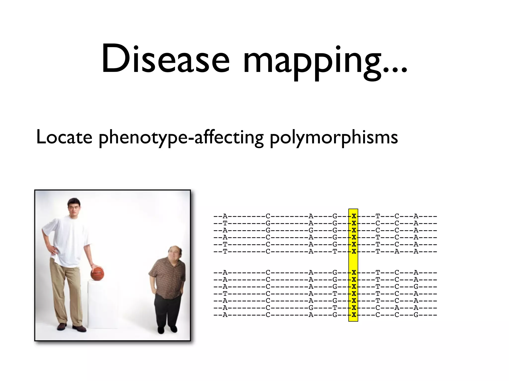 Disease mapping...
Locate phenotype-affecting polymorphisms


                   --A--------C--------A----G---X----T---C---A----
                   --T--------G--------A----G---X----C---C---A----
                   --A--------G--------G----G---X----C---C---A----
                   --A--------C--------A----G---X----T---C---A----
                   --T--------C--------A----G---X----T---C---A----
                   --T--------C--------A----T---X----T---A---A----

                   --A--------C--------A----G---X----T---C---A----
                   --A--------C--------A----G---X----T---C---A----
                   --A--------C--------A----G---X----T---C---G----
                   --T--------C--------A----T---X----T---C---A----
                   --A--------C--------A----G---X----T---C---A----
                   --A--------C--------G----T---X----C---A---A----
                   --A--------C--------A----G---X----C---C---G----
 