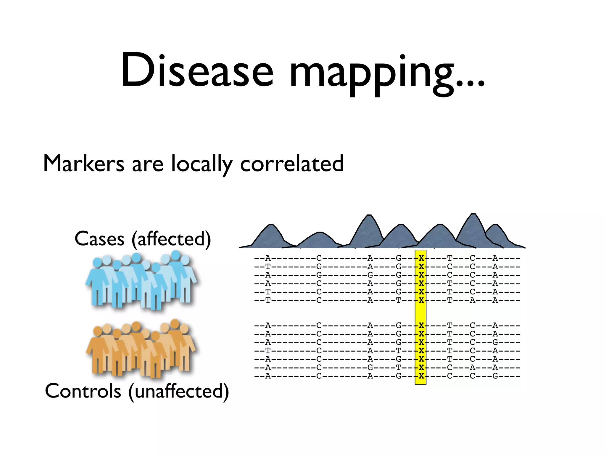 Disease mapping...
Markers are locally correlated

   Cases (affected)
                        --A--------C--------A----G---X----T---C---A----
                        --T--------G--------A----G---X----C---C---A----
                        --A--------G--------G----G---X----C---C---A----
                        --A--------C--------A----G---X----T---C---A----
                        --T--------C--------A----G---X----T---C---A----
                        --T--------C--------A----T---X----T---A---A----

                        --A--------C--------A----G---X----T---C---A----
                        --A--------C--------A----G---X----T---C---A----
                        --A--------C--------A----G---X----T---C---G----
                        --T--------C--------A----T---X----T---C---A----
                        --A--------C--------A----G---X----T---C---A----
                        --A--------C--------G----T---X----C---A---A----
                        --A--------C--------A----G---X----C---C---G----

Controls (unaffected)
 