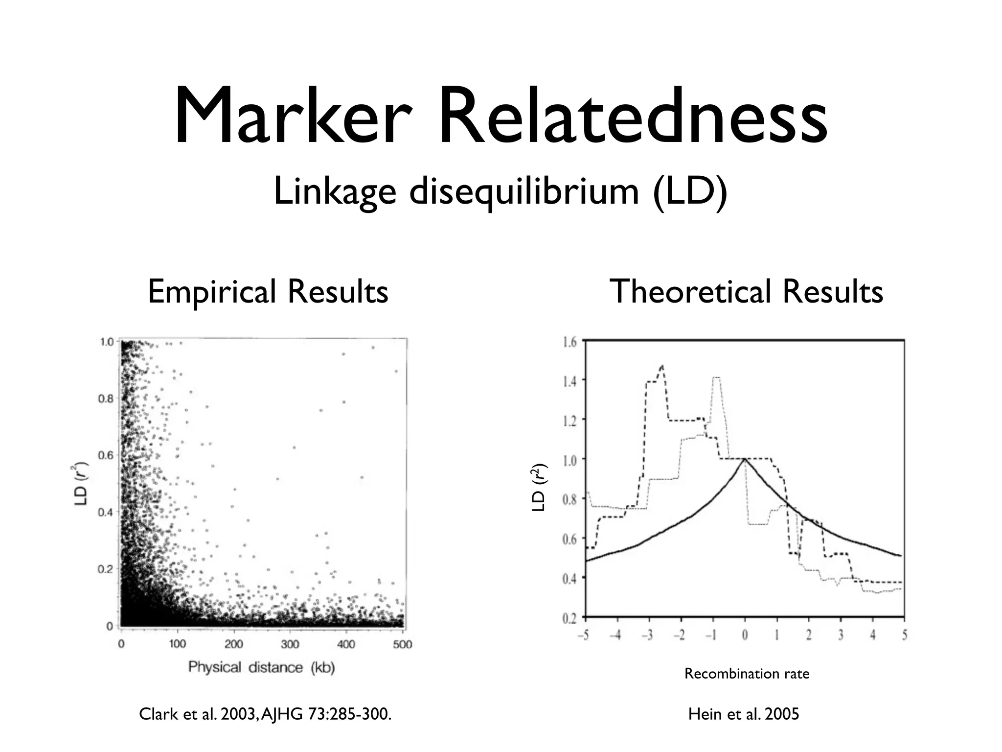 Marker Relatedness
                  Linkage disequilibrium (LD)

 Empirical Results                              Theoretical Results




                                      LD (r2)




                                                     Recombination rate

Clark et al. 2003, AJHG 73:285-300.                  Hein et al. 2005
 