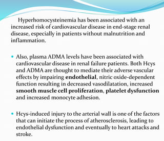 Hyperhomocysteinemia has been associated with an
increased risk of cardiovascular disease in end-stage renal
disease, especially in patients without malnutrition and
inflammation.
 Also, plasma ADMA levels have been associated with
cardiovascular disease in renal failure patients. Both Hcys
and ADMA are thought to mediate their adverse vascular
effects by impairing endothelial, nitric oxide-dependent
function resulting in decreased vasodilatation, increased
smooth muscle cell proliferation, platelet dysfunction
and increased monocyte adhesion.
 Hcys-induced injury to the arterial wall is one of the factors
that can initiate the process of atherosclerosis, leading to
endothelial dysfunction and eventually to heart attacks and
stroke.
 