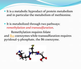  It is a metabolic byproduct of protein metabolism
and in particular the metabolism of methionine.
 It is metabolized through two pathways:
remethylation and transsulfuration.
Remethylation requires folate
and B12 coenzymes while transsulfuration requires
pyridoxal-5-phosphate, the B6 coenzyme.
 