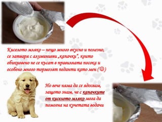 Киселото мляко – нещо много вкусно и полезно,
се затваря с алуминиеви „капачки“, които
обикновено не се късат в правилната посока и
особено много тормозят педанти като мен ( )
Но вече няма да се ядосвам,
защото знам, че с капачките
от киселото мляко мога да
помогна на кучетата водачи
 