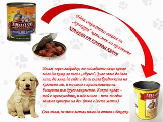 Имам черен лабрадор, но последното нещо което
мога да кажа за него е „обучен“. Знае само да дава
лапа, да ляга, да сяда и да си слага брадичката на
коленете ми, и то само в присъствието на
бисквита или друго лакомство. Както казах –
той е чревоугодник, и яде много – поне по една
голяма консерва на ден (това е доста метал)
Сега знам, че този метал няма да отива в боклука
 