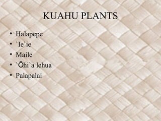 KUAHU PLANTS
•   Halapepe
•   `Ie`ie
•   Maile
•   `Ōhi`a lehua
•   Palapalai
 