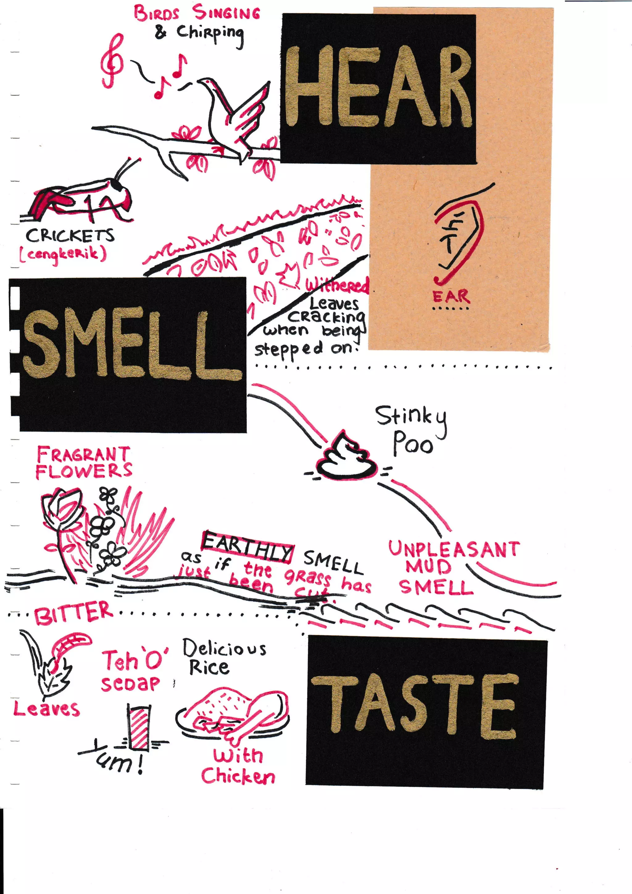 Brros 9rrcluG
& chinginS
.rl
HCR6KETS
IcrnjLerih)
FeranANT
FuowER.s
-a0;s
ffifl^('
(i
/
P(
S
ffil'ffru,-,$tfTf,B.l ". '
MI:r.?'
"#-
Dehcio u s
Rice
Chichen
Stink u
PooJ
--
TA$TT
ffiffiffiLL
 