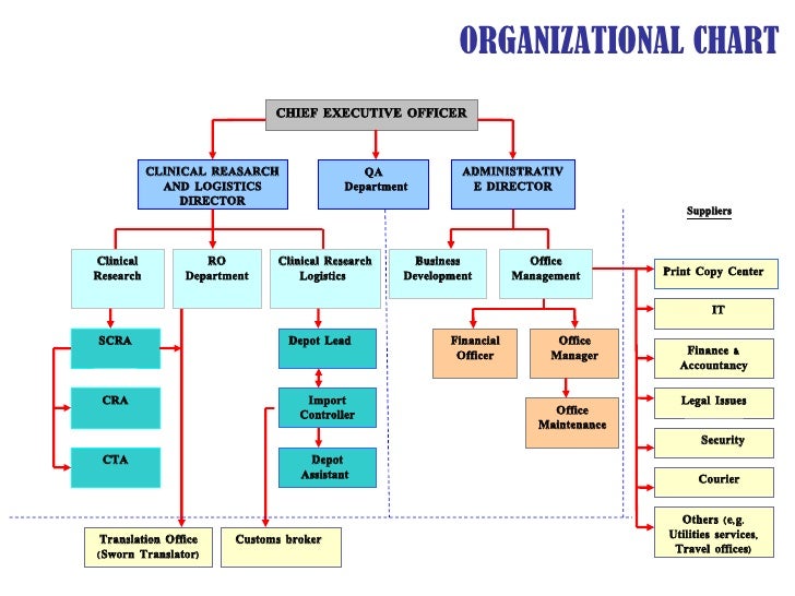 Cro Organizational Chart