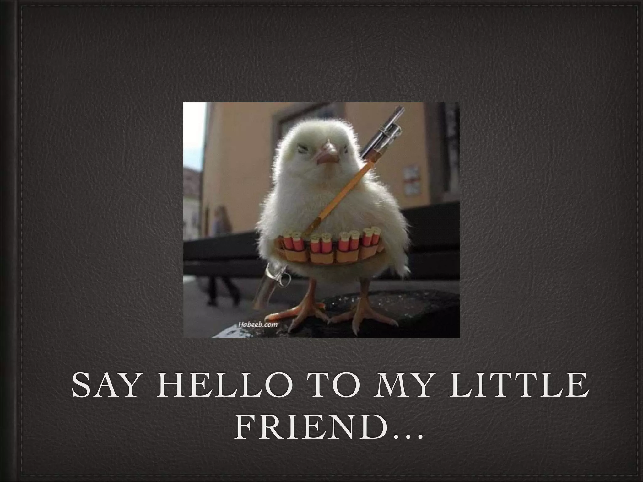 SAY HELLO TO MY LITTLE
FRIEND…
 
