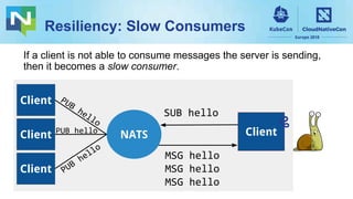 Resiliency: Slow Consumers
If a client is not able to consume messages the server is sending,
then it becomes a slow consumer.
PUB
hello
SUB hello
NATS
Client
Client
Client
ClientPUB hello
PUB
hello
MSG hello
MSG hello
MSG hello
 