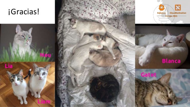 ¡Gracias!
Liam
Lia
Neu
Blanca
Gatet
 