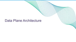 Data Plane Architecture
 