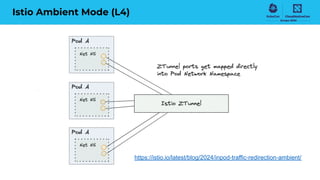 Istio Ambient Mode (L4)
https://istio.io/latest/blog/2024/inpod-traffic-redirection-ambient/
 