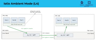 Istio Ambient Mode (L4)
 