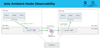 Istio Ambient Mode Observability
 