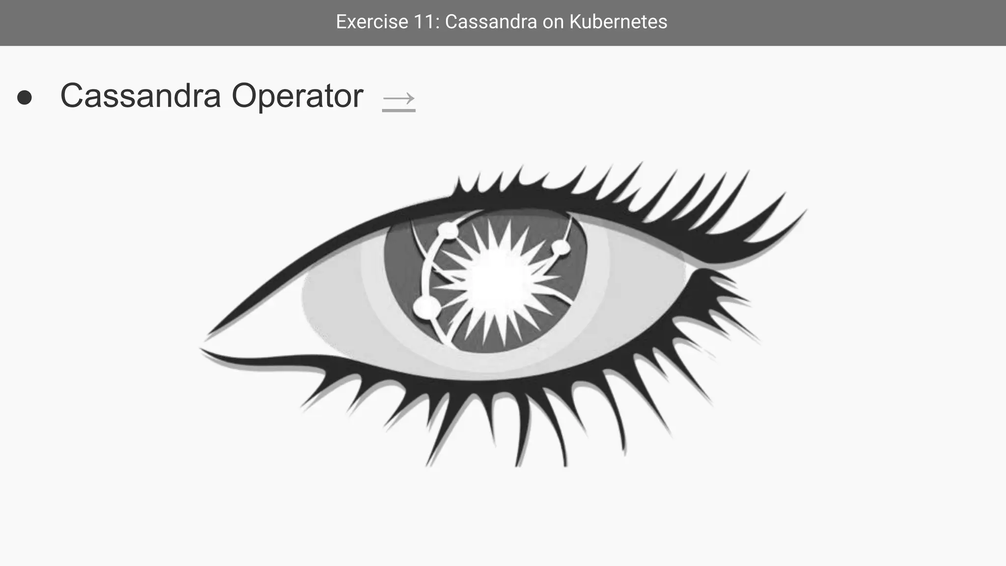 Exercise 11: Cassandra on Kubernetes
● Cassandra Operator →
 