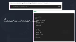 cat
~/.minikube/machines/minikube/config.json
 
