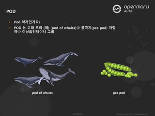 POD
• Pod 약자인가요?
• POD 는 고래 무리 (떼) (pod of whales)나 콩깍지(pea pod) 처럼
하나 이상의컨테이너 그룹
 