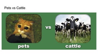 Pets vs Cattle
 