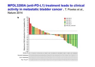 MPDL3280A (anti-PD-L1) treatment leads to clinical
activity in metastatic bladder cancer . T. Powles et al.,
Nature 2014
 