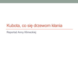 Kubota, co się drzewom kłania
Reportaż Anny Klimeckiej
 
