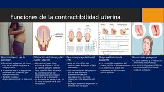 Funciones de la contractibilidad uterina
Mantenimiento de la
gravidez
• Durante el embarazo, el útero
está en actividad muy baja e
insignificante
• Se plantea que la progesterona
mantiene esa “quietud” por
Hiperpolarización
• También impide el
desprendimiento de la placenta
Dilatación del istmo y del
cuello uterino
• Las contracciones tiran,
acortan y dilatan el cérvix
• La cabeza del feto también
hace presión sobre el cérvix
• La coordinacion de las
contracciones determina el
progreso de la dilatación
• La duración del parto es de 10-
12 h en nulíparas y 6-8 h en
multíparas
Descenso y expulsión del
feto
• Ante un útero fijo, las
contracciones empujan al feto
al exterior
• Las contracciones del preparto
son las que dictan la
presentación de feto
• Los ligamentos uterinos
colaboran en la expulsión del
feto
• El mayor aumento de presión se
produce por los pujos
Desprendimiento de
placenta
• La retracción inmediata del
útero facilita el alumbramiento
• La placenta no puede ser
expulsada por el útero en
tercio inferior
Hemostasia puerperal
• EL tono uterino y la retracción
determina la hemostasia
• Las contracciones peristálticas
permiten la eliminación de
coágulos y loquios
 