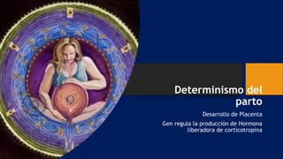 Determinismo del
parto
Desarrollo de Placenta
Gen regula la producción de Hormona
liberadora de corticotropina
 