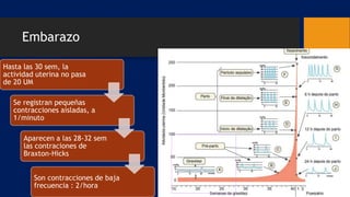 Embarazo
Hasta las 30 sem, la
actividad uterina no pasa
de 20 UM
Se registran pequeñas
contracciones aisladas, a
1/minuto
Aparecen a las 28-32 sem
las contraciones de
Braxton-Hicks
Son contracciones de baja
frecuencia : 2/hora
 