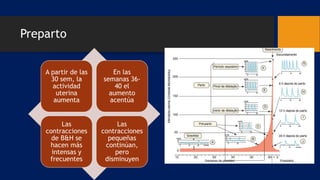 Preparto
A partir de las
30 sem, la
actividad
uterina
aumenta
En las
semanas 36-
40 el
aumento
acentúa
Las
contracciones
de B&H se
hacen más
intensas y
frecuentes
Las
contracciones
pequeñas
continúan,
pero
disminuyen
 