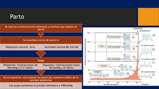 Parto
En el expulsivo, son propios los pujos por aumento súbito de la
cavidad abdominal
Los pujos aumentan la presión amniótica a 100mmHg
Fases
Dilatación: Contracciones de
30mmHg a 2-3/10min.
Expulsivo: Contracciones hasta
50 mmHg a 5/10min
Se considera inicio de parto si
Dilatación cervical >2cm Actividad uterina 80-120 UM
Se asocia a contracciones dolorosas y rítmicas que dilatan el
cérvix
 