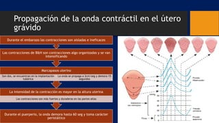 Propagación de la onda contráctil en el útero
grávido
Durante el puerperio, la onda demora hasta 60 seg y toma carácter
peristáltico
La intensidad de la contracción es mayor en la altura uterina
Las contracciones son más fuertes y duraderas en las partes altas
Marcapasos uterino
Son dos, se encuentran en la implantación
tubárica
La onda se propaga a 2cm/seg y demora 15
segundos
Las contracciones de B&H son contracciones algo organizadas y se van
intensificando
Durante el embarazo las contracciones son aisladas e ineficaces
 