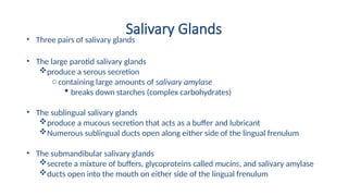 Salivary Glands
• Three pairs of salivary glands
• The large parotid salivary glands
produce a serous secretion
o containing large amounts of salivary amylase
 breaks down starches (complex carbohydrates)
• The sublingual salivary glands
produce a mucous secretion that acts as a buffer and lubricant
Numerous sublingual ducts open along either side of the lingual frenulum
• The submandibular salivary glands
secrete a mixture of buffers, glycoproteins called mucins, and salivary amylase
ducts open into the mouth on either side of the lingual frenulum
 