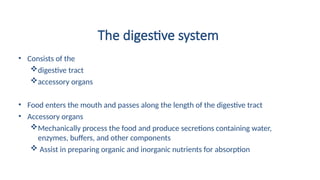 The digestive system
• Consists of the
digestive tract
accessory organs
• Food enters the mouth and passes along the length of the digestive tract
• Accessory organs
Mechanically process the food and produce secretions containing water,
enzymes, buffers, and other components
 Assist in preparing organic and inorganic nutrients for absorption
 