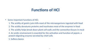 Functions of HCl
• Some important functions of HCl;
1. The acidity of gastric juice kills most of the microorganisms ingested with food
2. The acidity denatures proteins and inactivates most of the enzymes in food
3. The acidity helps break down plant cell walls and the connective tissues in meat
4. An acidic environment is essential for the activation and function of pepsin, a
protein-digesting enzyme secreted by chief cells
5. Softens bones
23
 