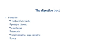 The digestive tract
• Comprise
 oral cavity (mouth)
pharynx (throat)
esophagus
stomach
small intestine, large intestine
anus
 