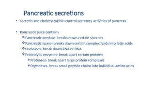 Pancreatic secretions
• secretin and cholecystokinin control secretory activities of pancreas
• Pancreatic juice contains
Pancreatic amylase- breaks down certain starches
Pancreatic lipase- breaks down certain complex lipids into fatty acids
Nucleases- break down RNA or DNA
Proteolytic enzymes- break apart certain proteins
Proteases- break apart large protein complexes
Peptidases- break small peptide chains into individual amino acids
 