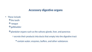 Accessory digestive organs
• These include
the teeth
 tongue
gallbladder
glandular organs such as the salivary glands, liver, and pancreas
osecrete their products into ducts that empty into the digestive tract
 contain water, enzymes, buffers, and other substances
 