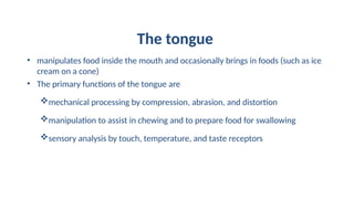 The tongue
• manipulates food inside the mouth and occasionally brings in foods (such as ice
cream on a cone)
• The primary functions of the tongue are
mechanical processing by compression, abrasion, and distortion
manipulation to assist in chewing and to prepare food for swallowing
sensory analysis by touch, temperature, and taste receptors
 