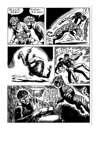 Ku ob sn - MN - LMS 880