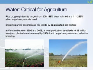 Water: Critical for Agriculture
Rice cropping intensity ranges from 100-168% when rain fed and 111-242%
when irrigation system is used
Irrigating pumps can increase rice yields by an extra ton per hectare
In Vietnam between 1990 and 2008, annual production doubled (19-38 million
tons) and planted area increased by 20% due to irrigation systems and selective
breeding
 